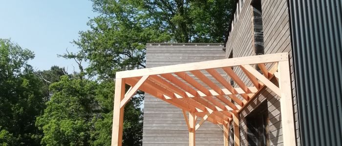 Pergola sur poteaux en bois Douglas 